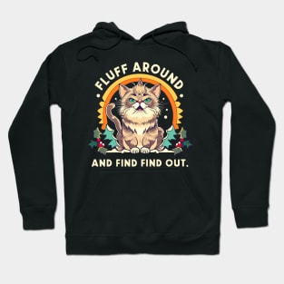 Fluff Around And Find Out Funny Cat Hoodie